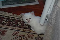 DSC_0193 copia.jpg